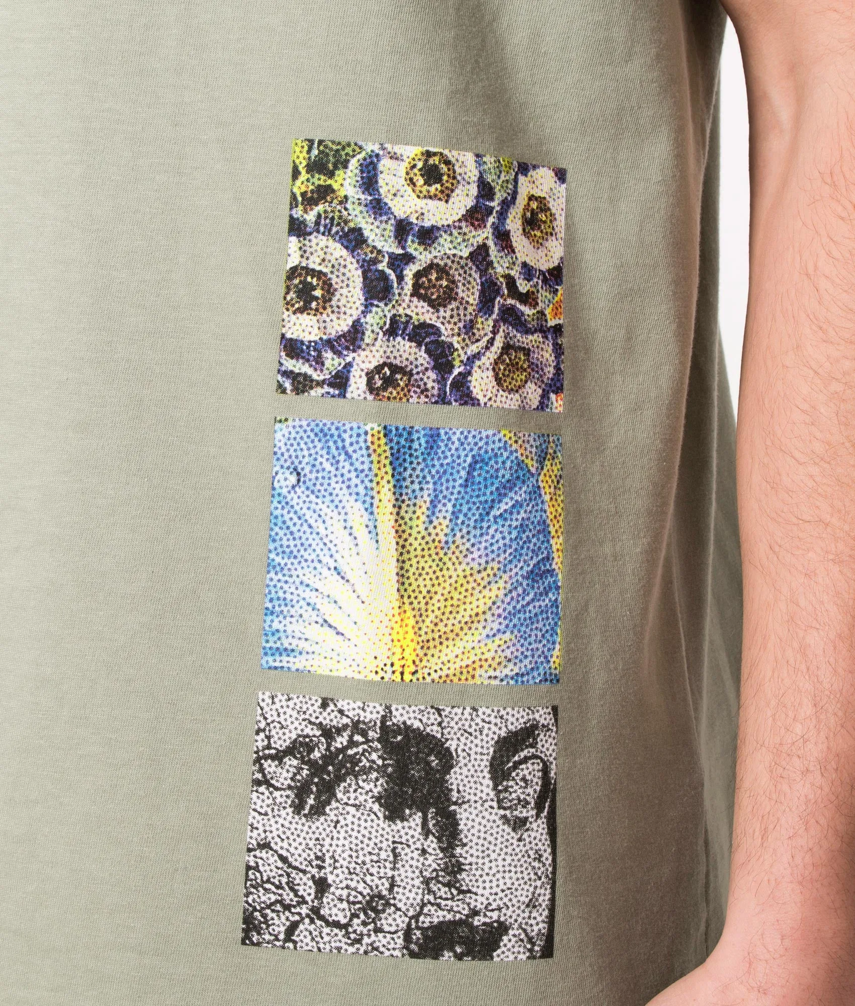 Relaxed Fit Greenhouse T-Shirt
